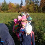 phoca_thumb_m_v zmeck 7 Fotogalerie